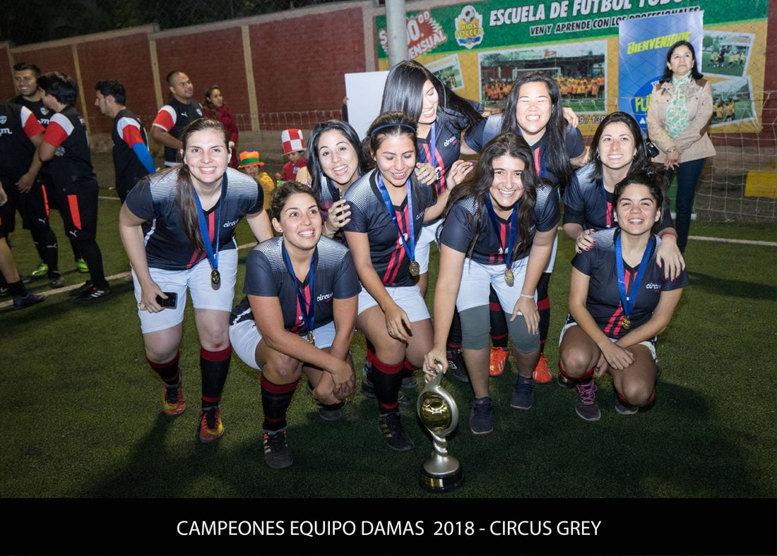 Campeonato de Fulbito – Copa APAP 2017