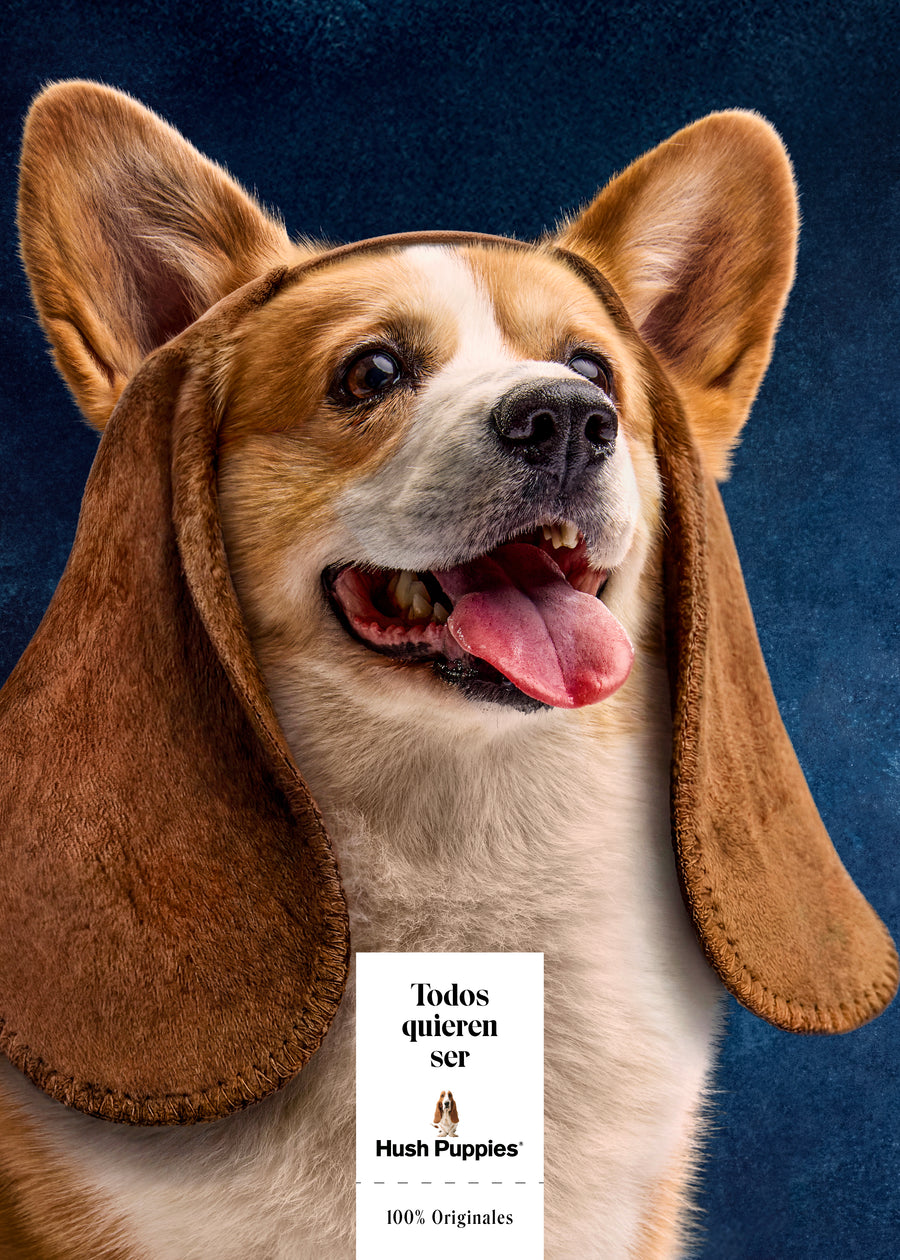 Todos quieren ser Hush Puppies