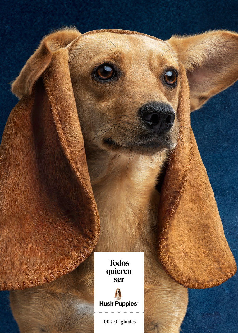 Todos quieren ser Hush Puppies