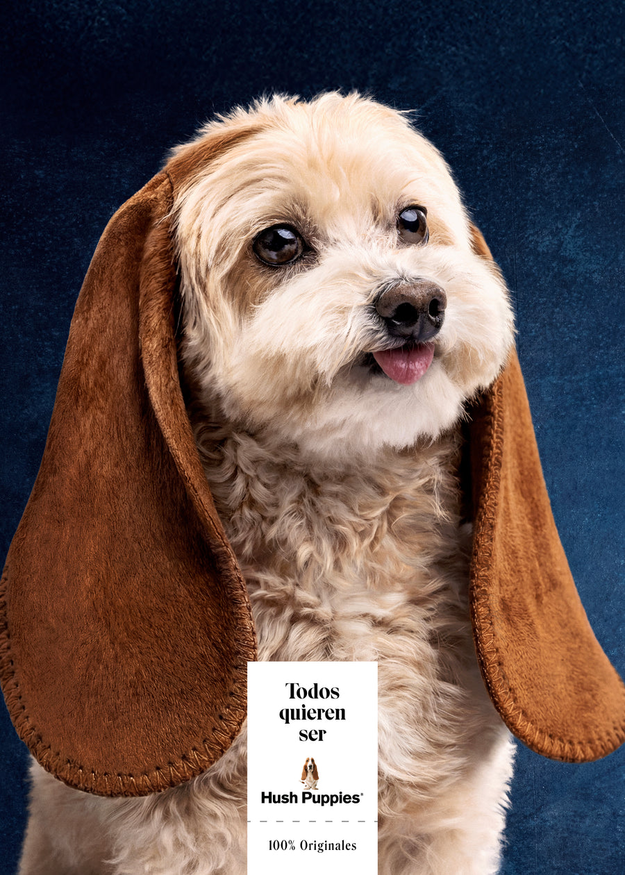 Todos quieren ser Hush Puppies