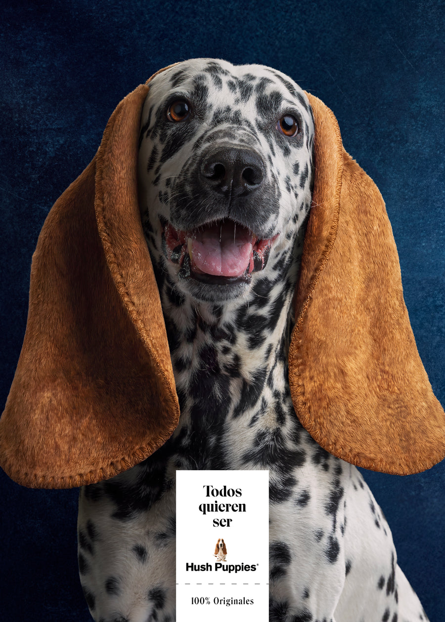 Todos quieren ser Hush Puppies