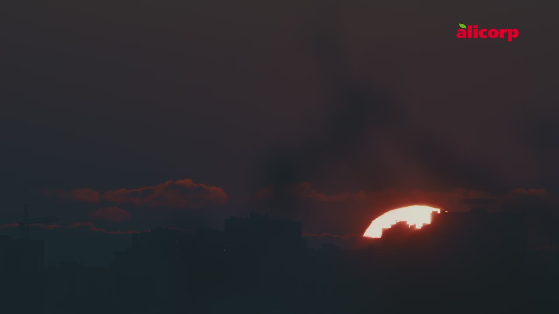 La canción de las 4 A.M.